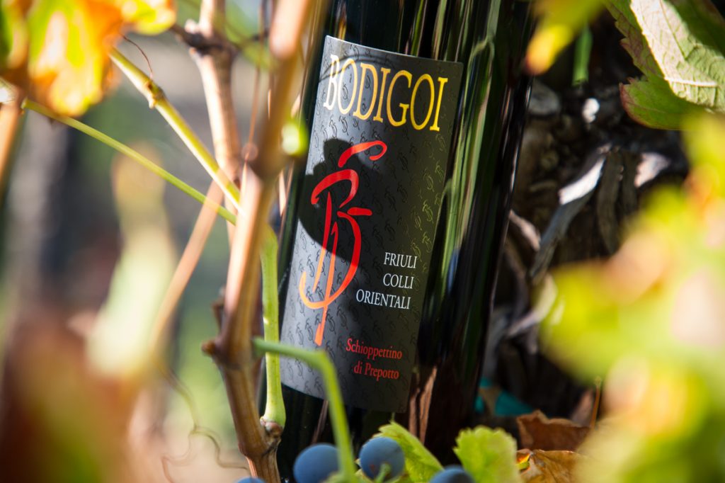 Bottiglia di vino rosso - Azienda Agricola Vini Bodigoi