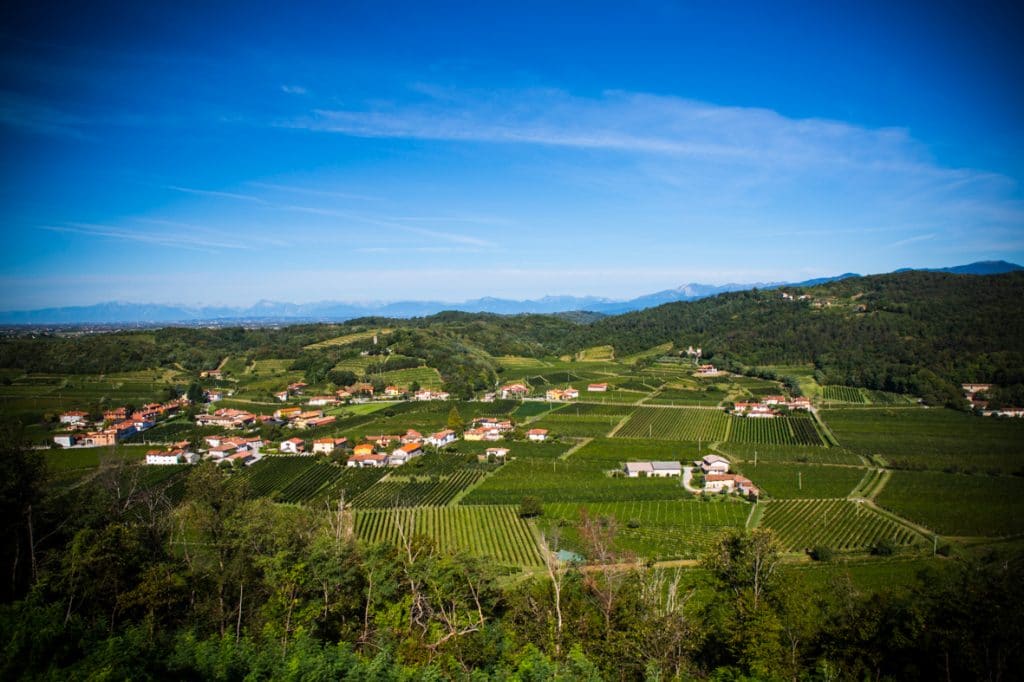 Veduta aerea del territorio - Azienda Agricola Vini Bodigoi